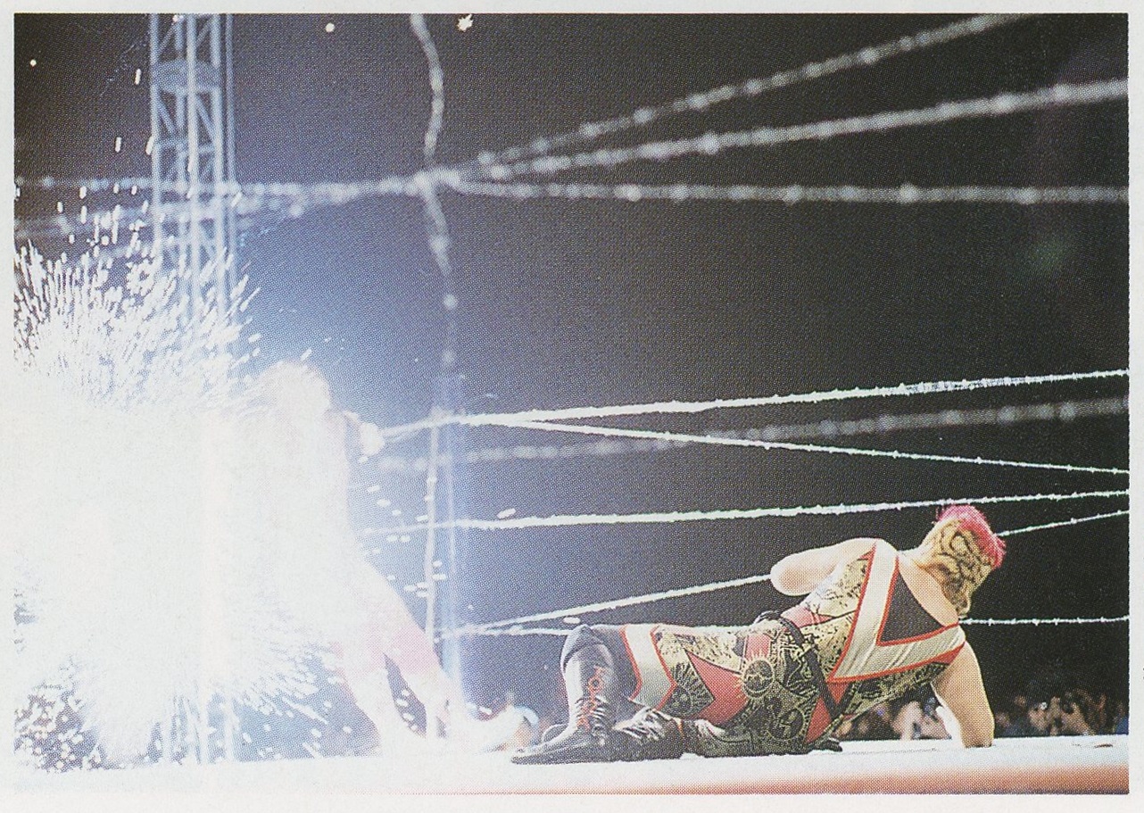 Combat Toyoda looks on after launching Megumi Kudo into exploding barbed wire ropes
