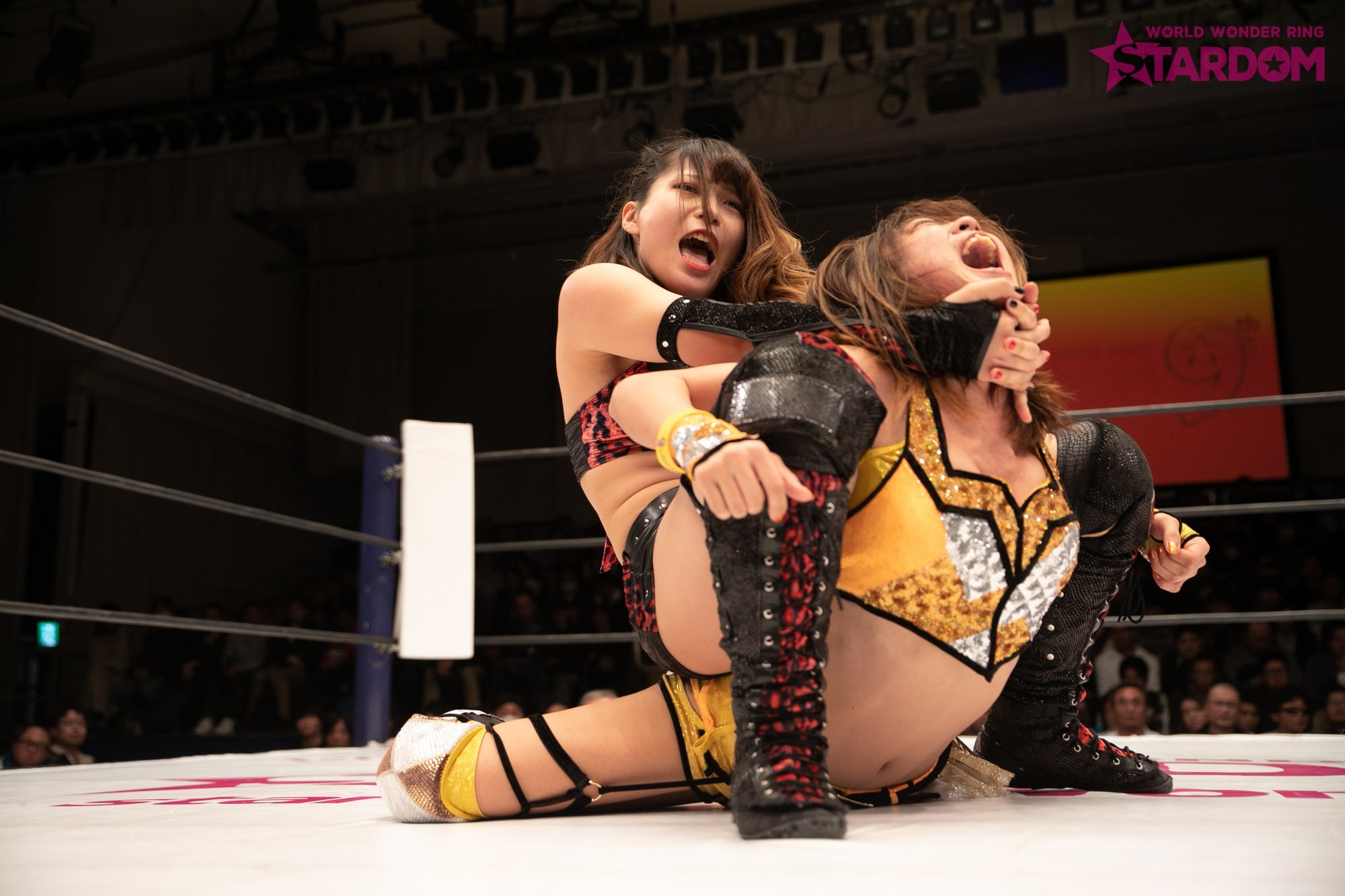 Utami Hayashishita applying a camel clutch to her opponent, Arisa Hoshiki